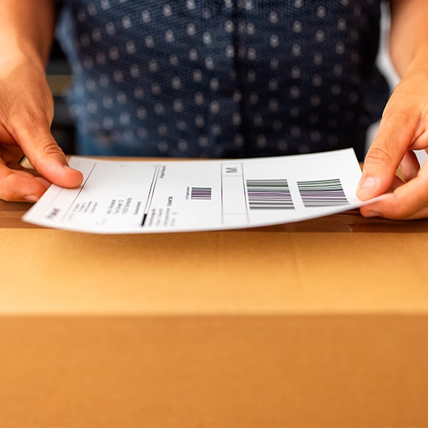 In un mondo sempre più interconnesso, la domanda di servizi di spedizione, logistica e -commerce è in continua crescita.