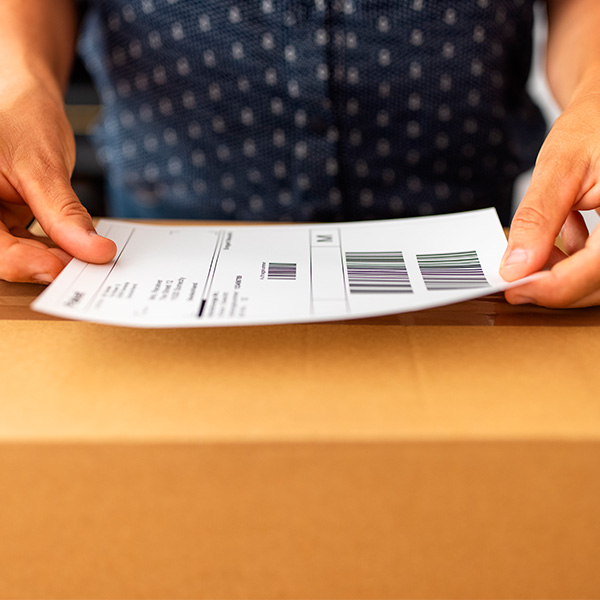 Dans un monde de plus en plus interconnecté, la demande en matière d'expédition, de logistique et de e-commerce ne cesse de croître.